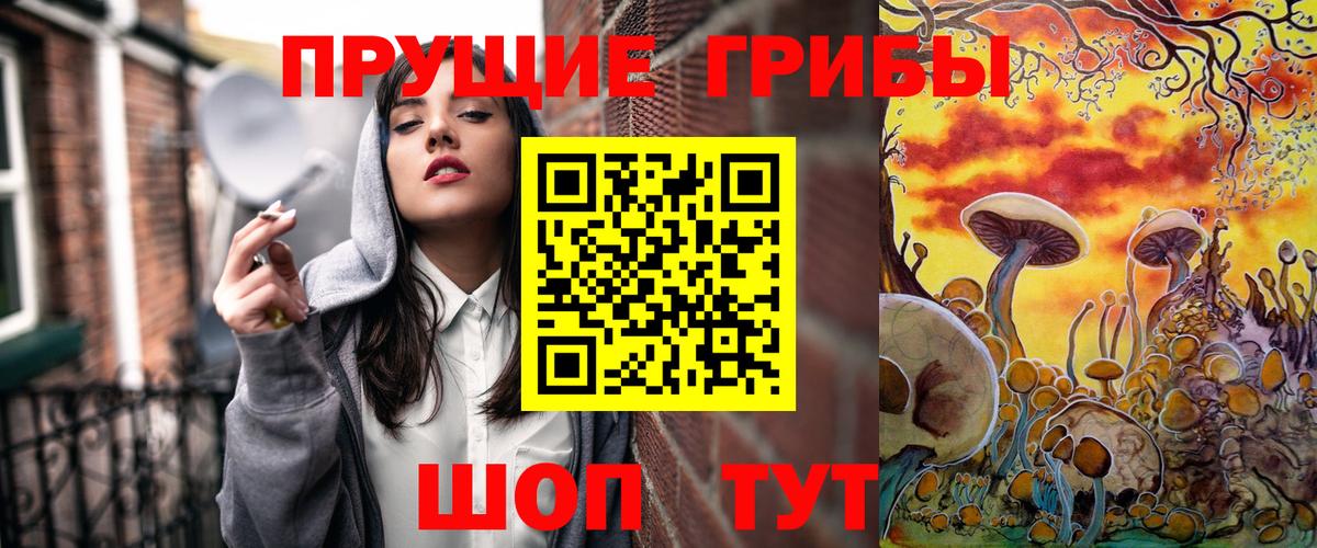 Галлюциногенные грибы Psilocybine cubensis  Галлюциногенные грибы GOLDEN TEACHER  Вход с VPN  Грозный 