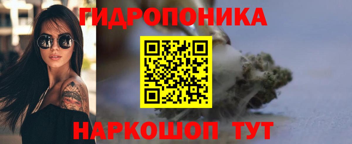 Галлюциногенные грибы Грозный